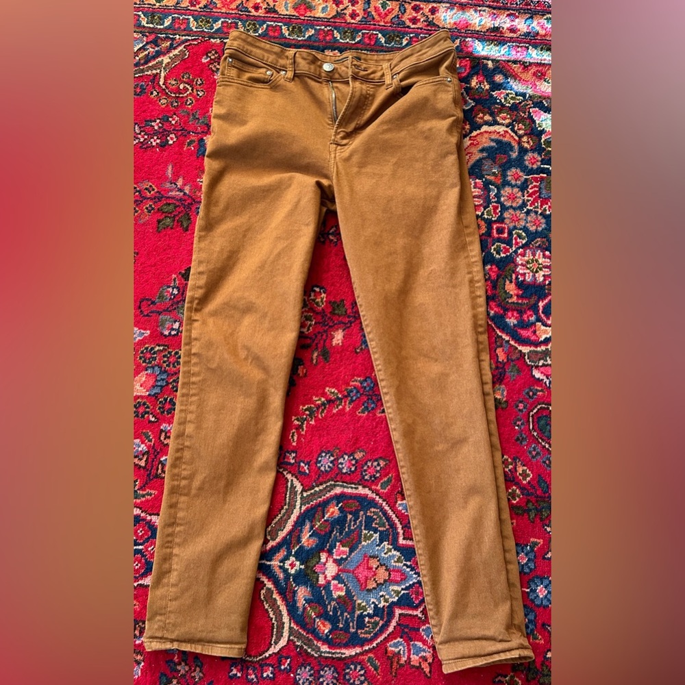 Men’s Express Skinny Jean in Rust, Size 32x34
